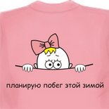заказать футбольную майку